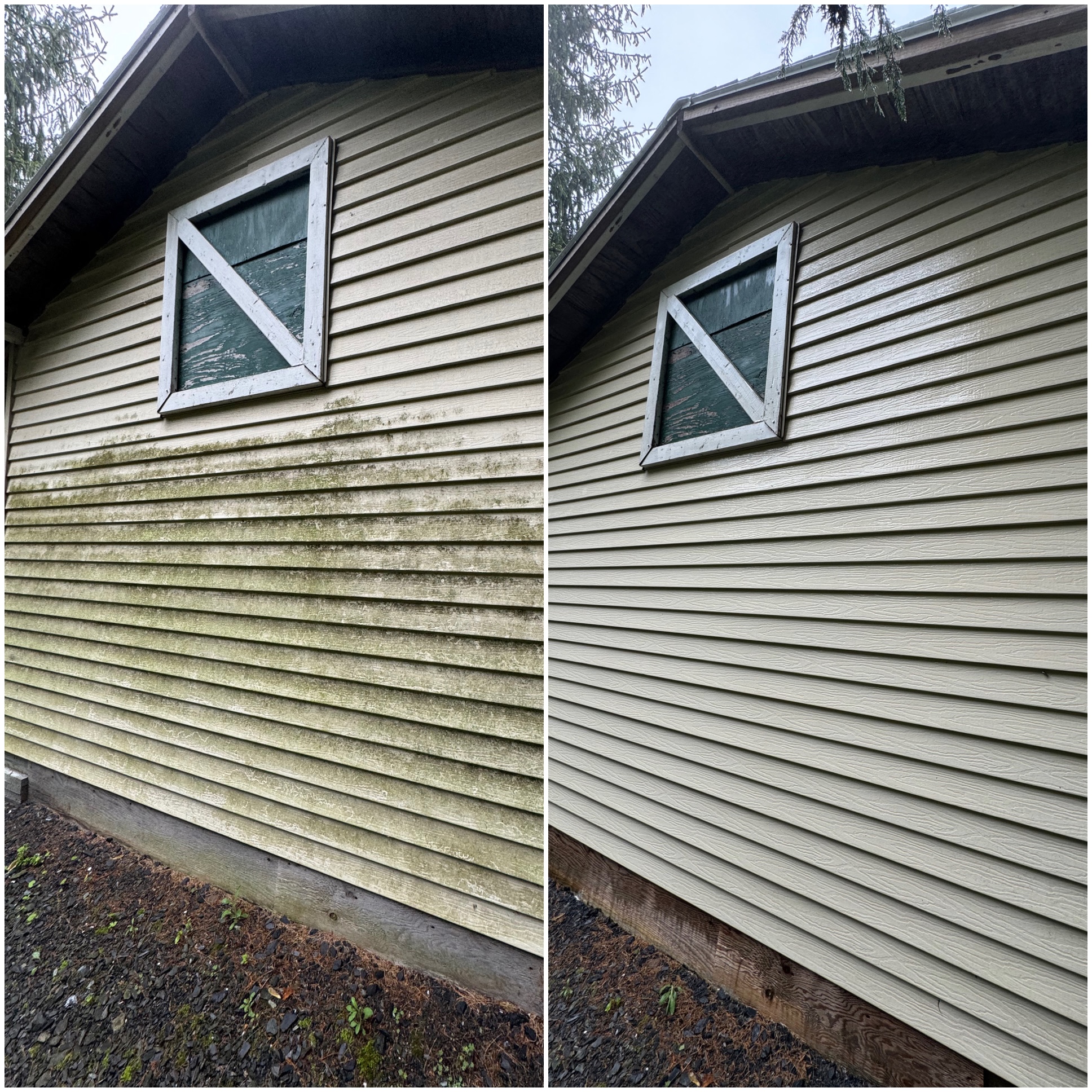 Before and after soft wash — algae-covered siding restored to clean white vinyl